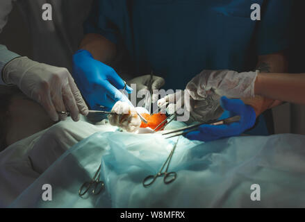 Vicino il dettaglio di un intervento chirurgico. Gruppo di chirurghi al lavoro che operano in sala operatoria. Foto Stock