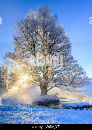 Fredda mattina a novembre giornata invernale nella Baviera meridionale Foto Stock