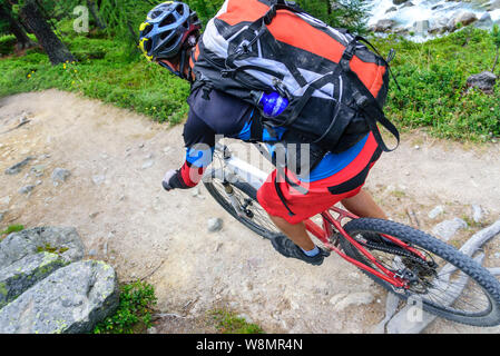 Mountainbiker moto dello sterzo su single trail Foto Stock