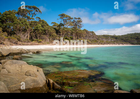 Fortescue bay su una mattina di sole con rocce, alberi e acque cristalline, Tasmania Australia Foto Stock