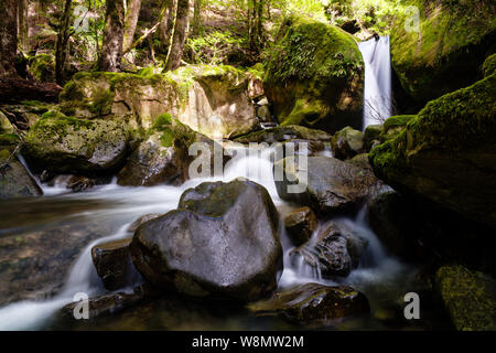 La cascata e flusso flottante con possenti rocce nere nel mezzo della tasmanian foresta verde, Tasmania, Australia Foto Stock