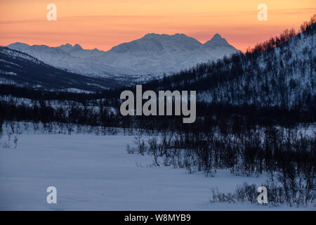 Colorato tramonto in inverno sulle montagne e sulla foresta Senja, Norvegia Foto Stock