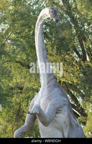 Copia realistica di Brachiosaurus, è un genere di sauropod dinosaur che ha vissuto in Nord America durante il tardo Giurassico, circa 154-153 milioni di anni fa Foto Stock