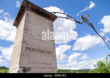 Francia Borgogna 2019-06-20 closeup antica pietra cuscini con piastra vintage, nameboard di Montrachet grand cru Vigna Foto Stock