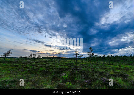 Sorpassare una grande palude vicino a Storfors Svezia Foto Stock