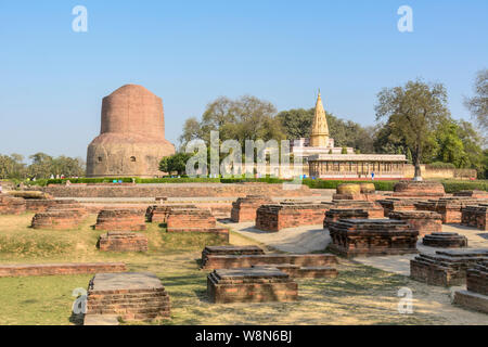 Stupa Dhamek e Shri Digambar Jain Temple, Sarnath, vicino a Varanasi, Uttar Pradesh, India, Asia, Asia del Sud Foto Stock