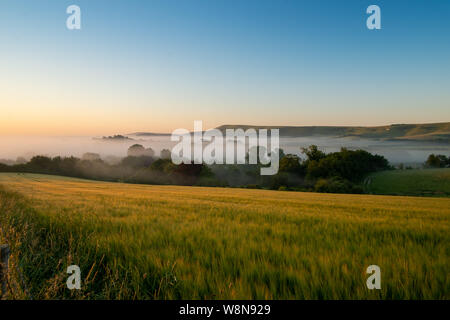 Guardando oltre cornfields all inizio di mattina nebbia in aumento nel weald tra Beddingham Hill e Firle Beacon, East Sussex 8 Foto Stock