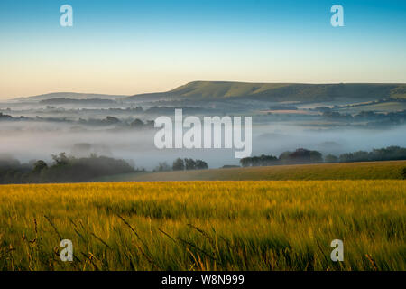 Guardando oltre cornfields all inizio di mattina nebbia in aumento nel weald tra Beddingham Hill e Firle Beacon, East Sussex 6 Foto Stock