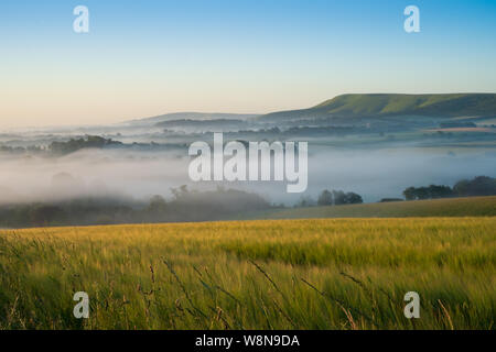 Guardando oltre cornfields all inizio di mattina nebbia in aumento nel weald tra Beddingham Hill e Firle Beacon, East Sussex 5 Foto Stock