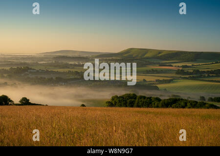 Guardando oltre cornfields all inizio di mattina nebbia in aumento nel weald tra Beddingham Hill e Firle Beacon, East Sussex 4 Foto Stock