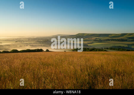 Guardando oltre cornfields all inizio di mattina nebbia in aumento nel weald tra Beddingham Hill e Firle Beacon, East Sussex 1 Foto Stock