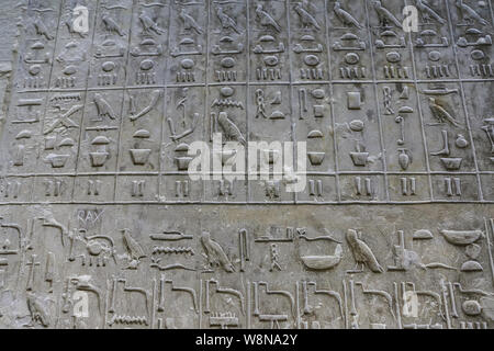 Piramide testi nella piramide di Unas, Saqqara, città del Cairo, Egitto Foto Stock