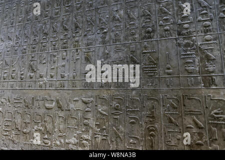 Piramide testi nella piramide di Unas, Saqqara, città del Cairo, Egitto Foto Stock