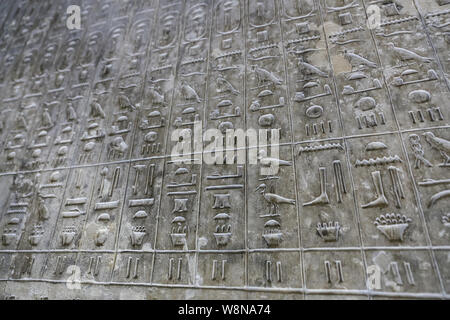 Piramide testi nella piramide di Unas, Saqqara, città del Cairo, Egitto Foto Stock