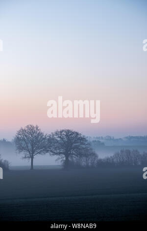 Bald alberi in inverno misty-paesaggio all'alba con cielo colorato in blu e rosso, Schleswig-Holstein Foto Stock