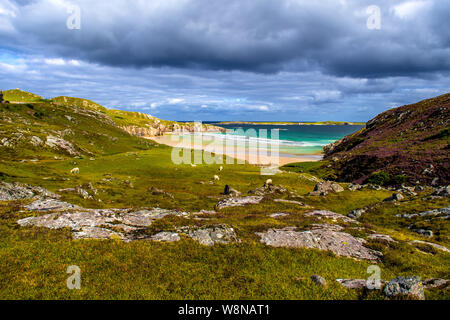 Ceannabeinne sabbiosa spiaggia di Costa Atlantica vicino a Durness in Scozia Foto Stock