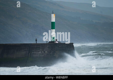 10 ago 2019 Aberystwyth Wales UK. Regno Unito: Meteo gale force vento con raffiche fino a oltre 50km/h e il mare in tempesta pastella il faro del porto, e rende la vita difficile per i pedoni in Aberystwyth come unseasonably bagnato e ventoso spazia su gran parte dell'ovest del Regno Unito , portando gravi perturbazioni per viaggiare e forzare la cancellazione di molti eventi all'esterno. Credito foto Keith Morris/Alamy Live News Foto Stock