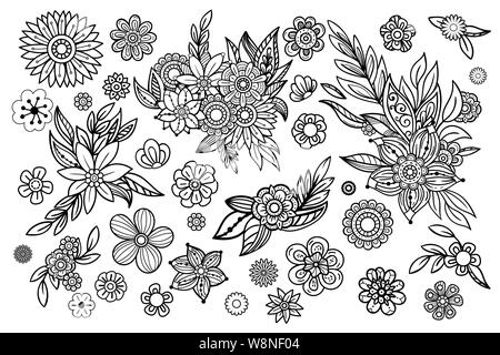 Disegnato a mano le foglie e i fiori collezione. Design floreale set di elementi. Bianco e nero illustrazione vettoriale in stile scarabocchi. Isolato su sfondo bianco. Illustrazione Vettoriale