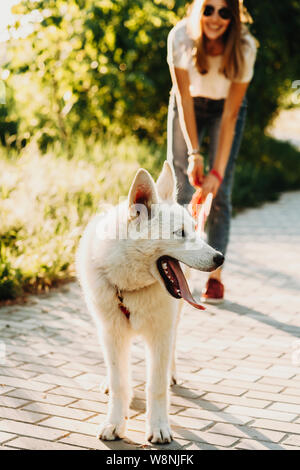 Adorabile cane con bocca aperta in piedi sul percorso di mattoni vicino donna sfocata durante la bella passeggiata sulla giornata di sole Foto Stock