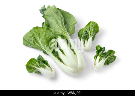 Piccolo crudo fresco paksoy mini e una grande isolato su sfondo bianco Foto Stock