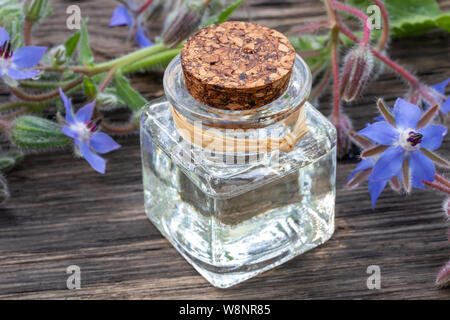 Olio di borragine e fiori su un tavolo Foto Stock