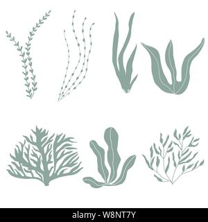 Raccolta di seaplants subacquea e coralli, impostato con piante marine per tessuto, tessuto, carta da parati, nursery decor, stampe, sfondo infantile. Vect Illustrazione Vettoriale