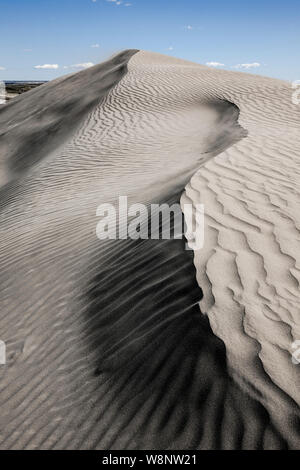 WA17214-00-..WASHINGTON - duna di sabbia in Hanford raggiungono monumento nazionale. Foto Stock