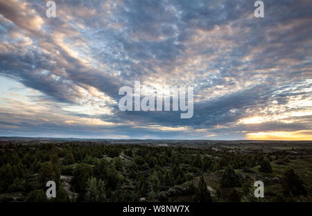 WA17231-00...WASHINGTON - Sunrise oltre le dune di ginepro deserto. Foto Stock