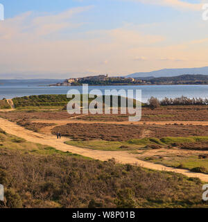 Riserva naturale attorno Bages Bay, Narbonne, Francia Foto Stock