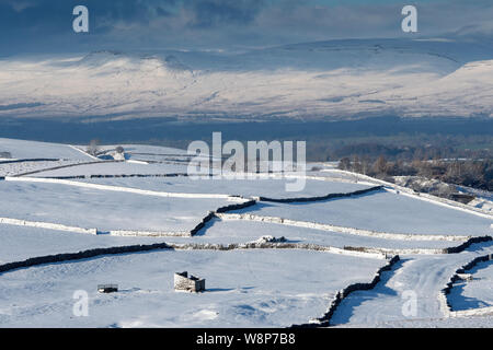 Terreni coperti di neve, guardando verso la Pennine Fells in Cumbria. Foto Stock