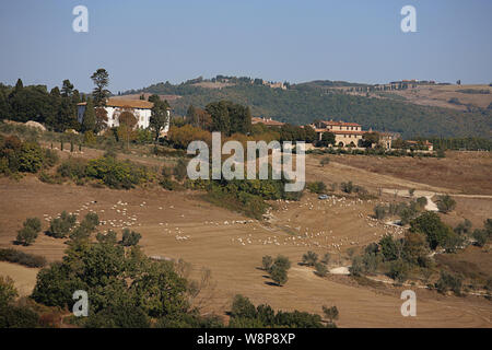 Comunità agricole sulla Strada Statale 68 vicino a Volterra Toscana Foto Stock