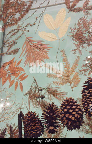 Pigna visualizzare presso il Museo di Storia Naturale di New York Foto Stock