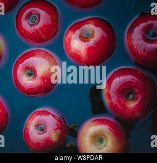 Red succose mele in acqua in un secchio. Trend retrò scuro dello sfondo. Concetto, ricco raccolto. Vista superiore Foto Stock