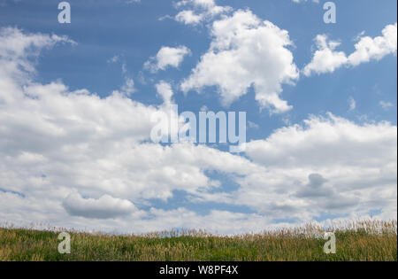 Blue Sky della cape con soffici nuvole bianche su campo verde Foto Stock