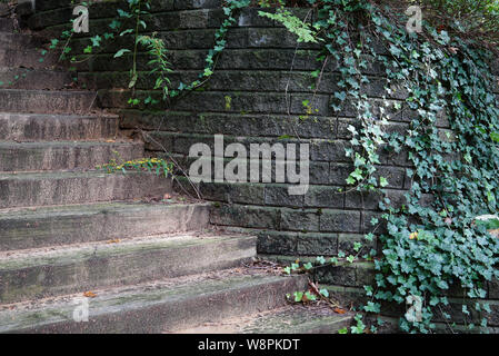 Un muro di pietre di grandi dimensioni con ivy in primo piano. Nei pressi di una scala di legno. Sulla superficie moss. Stati Uniti d'America, Michigan, Olanda Foto Stock
