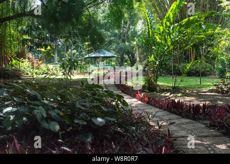 Piede modellato il percorso che conduce al giardino Foto Stock