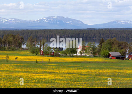 Il grande lago, SVEZIA IL 04 GIUGNO 2019. Vista di una fattoria questo lato delle montagne. Terreni agricoli, foreste e acqua. Uso editoriale. Foto Stock