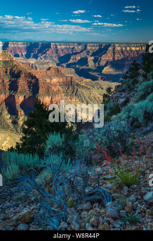 Punto Sublime sul bordo Nord del Parco Nazionale del Grand Canyon in Arizona, Stati Uniti Foto Stock