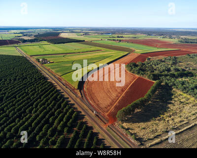 Antenna di noci macadamia piantagioni di alberi che sono tenuto su come prodotto preferito dal tradizionale da piantagioni di canna da zucchero nei pressi di Childers Queensland Foto Stock