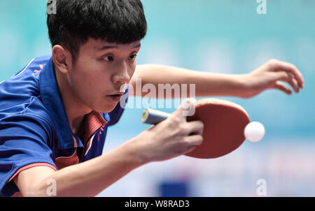 Taiyuan, Cina. 11 Ago, 2019. Li Hao della delegazione di Shanghai compete durante gli Uomini Squadra Qualification contro Zhang Haoyu della delegazione di Pechino, di tennis da tavolo evento presso il 2° Giochi della Gioventù della Repubblica popolare di Cina a Taiyuan, del nord della Cina nella provincia dello Shanxi su 11 Agosto, 2019. Credito: Xu Chang/Xinhua/Alamy Live News Foto Stock