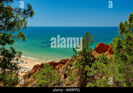 Praia da Falésia, Algarve, PORTOGALLO Foto Stock