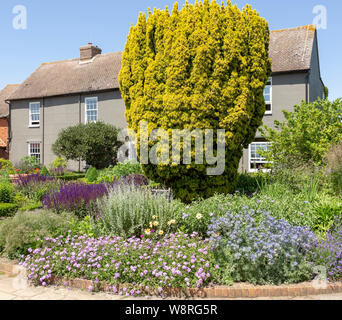 Royal Horticultural Society giardini di Hyde Hall, Essex, Inghilterra, Regno Unito Foto Stock