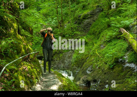 Giovane fotografo di scattare le foto con la fotocamera nella foresta Foto Stock