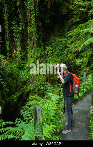 Giovane fotografo di scattare le foto con la fotocamera nella foresta Foto Stock