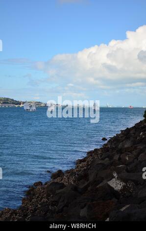 In barca a vela nella Baia di Auckland, Nuova Zelanda Foto Stock