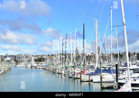 Auckland City's Westhaven Marina Foto Stock