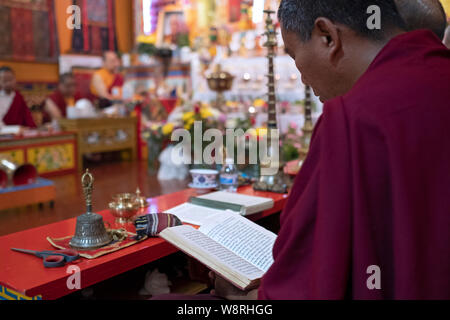 Un devoto Nepalese monaco buddista prega & e legge da un tibetano libro di preghiera. Presso lo Sherpa Kyidug tempio in NYC. Foto Stock