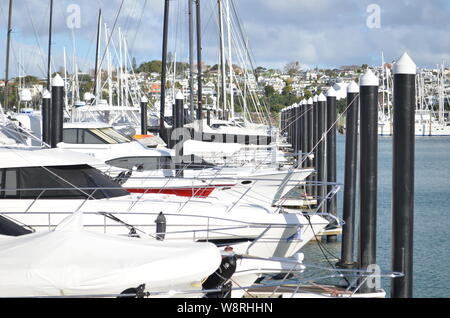 Auckland City's Westhaven Marina Foto Stock