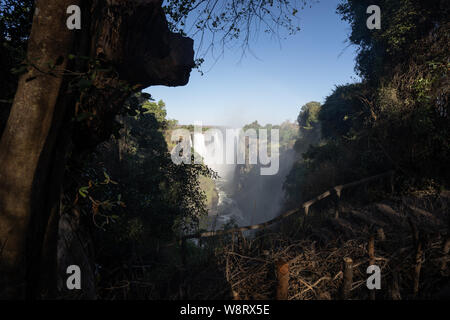 Victoria Falls, che prende il nome da David Livingstone nel 1855 dopo la regina Victoria, la cascata è formata dal fiume Zambesi che cade in un 100 metro profondo ch Foto Stock