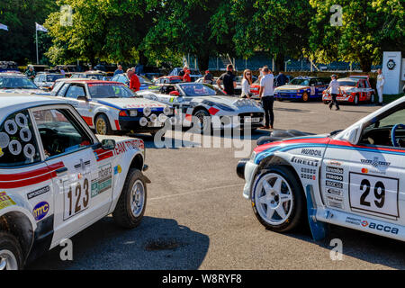 Il paddock di contenimento per il 2019 Goodwood Festival of Speed, Sussex, Regno Unito. "Giganti del rally moderni' sono riuniti a prendere sul hillclimb. Foto Stock